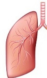 Neonatal asfiksi