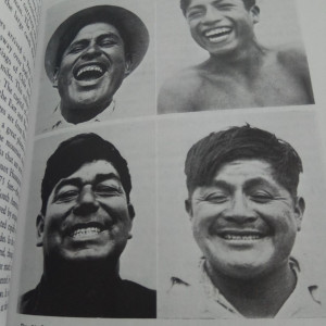 Başlıksız
