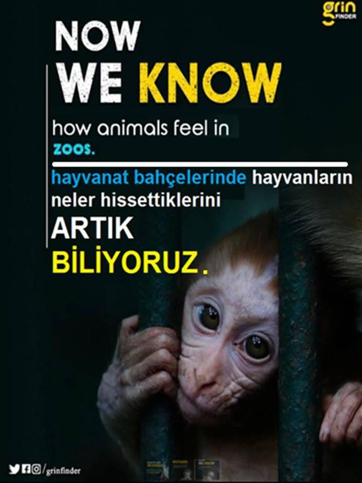 Başlıksız