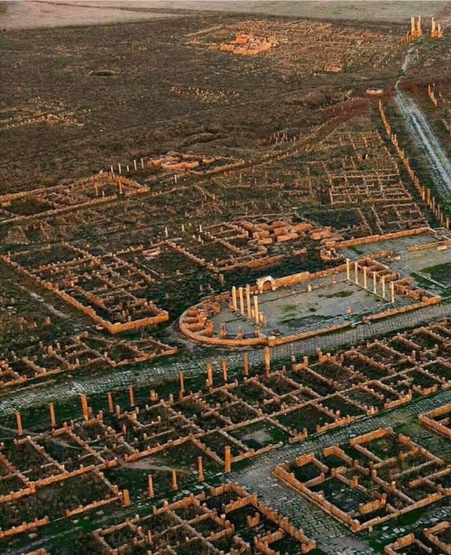 Timgad