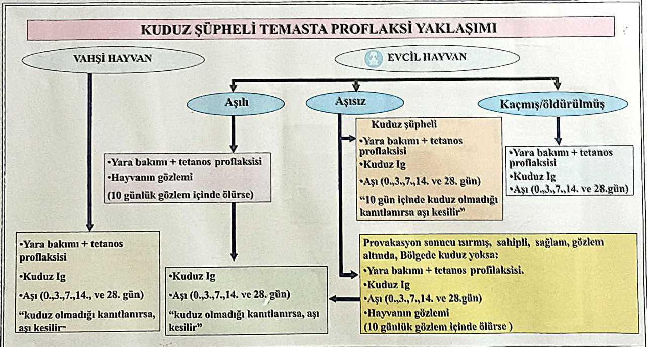 Şüpheli Temasta Proflaksi