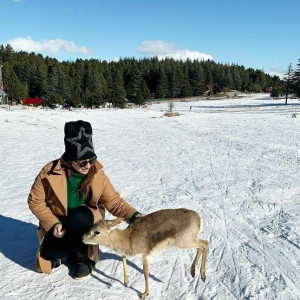 Kahramanmaraş Başkonuş Yaylası