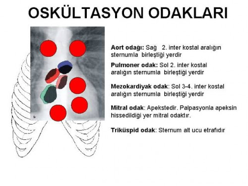 Kalp Odakları