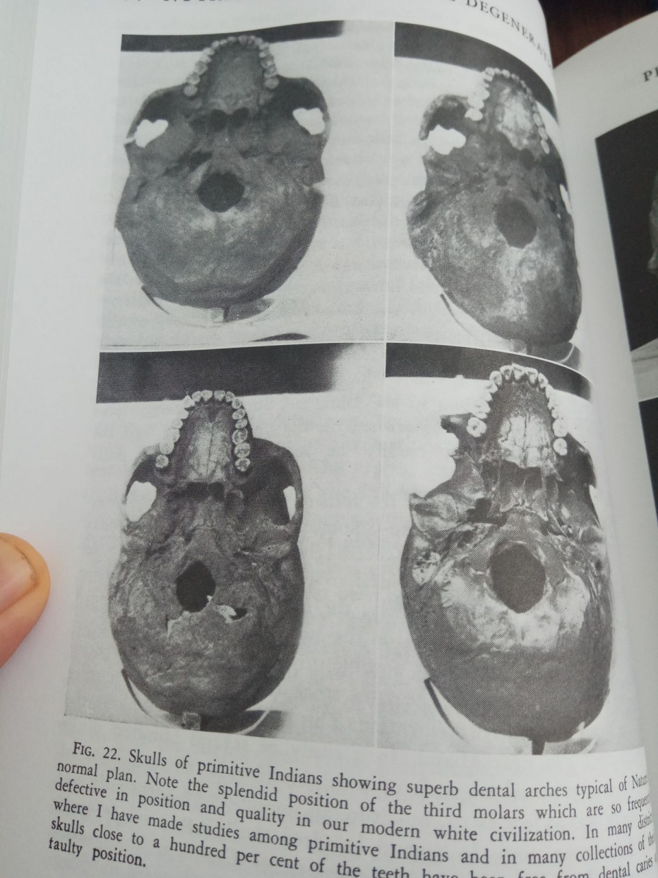 Başlıksız