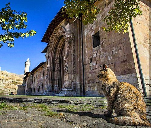 Divriği Ulu Cami ve Darüşşifası 1243