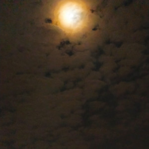 Başlıksız