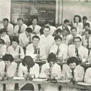 İstanbul Üniversitesi Tıp Fakültesi öğrencileri pratikte (1962)