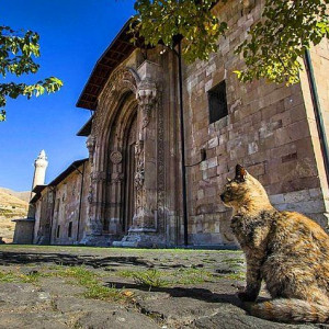 Divriği Ulu Cami ve Darüşşifası 1243