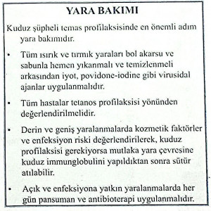 Yara Bakımı