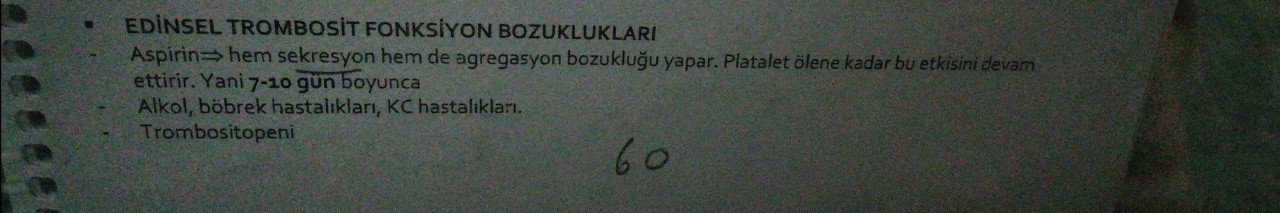 Başlıksız