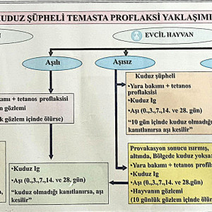 Şüpheli Temasta Proflaksi