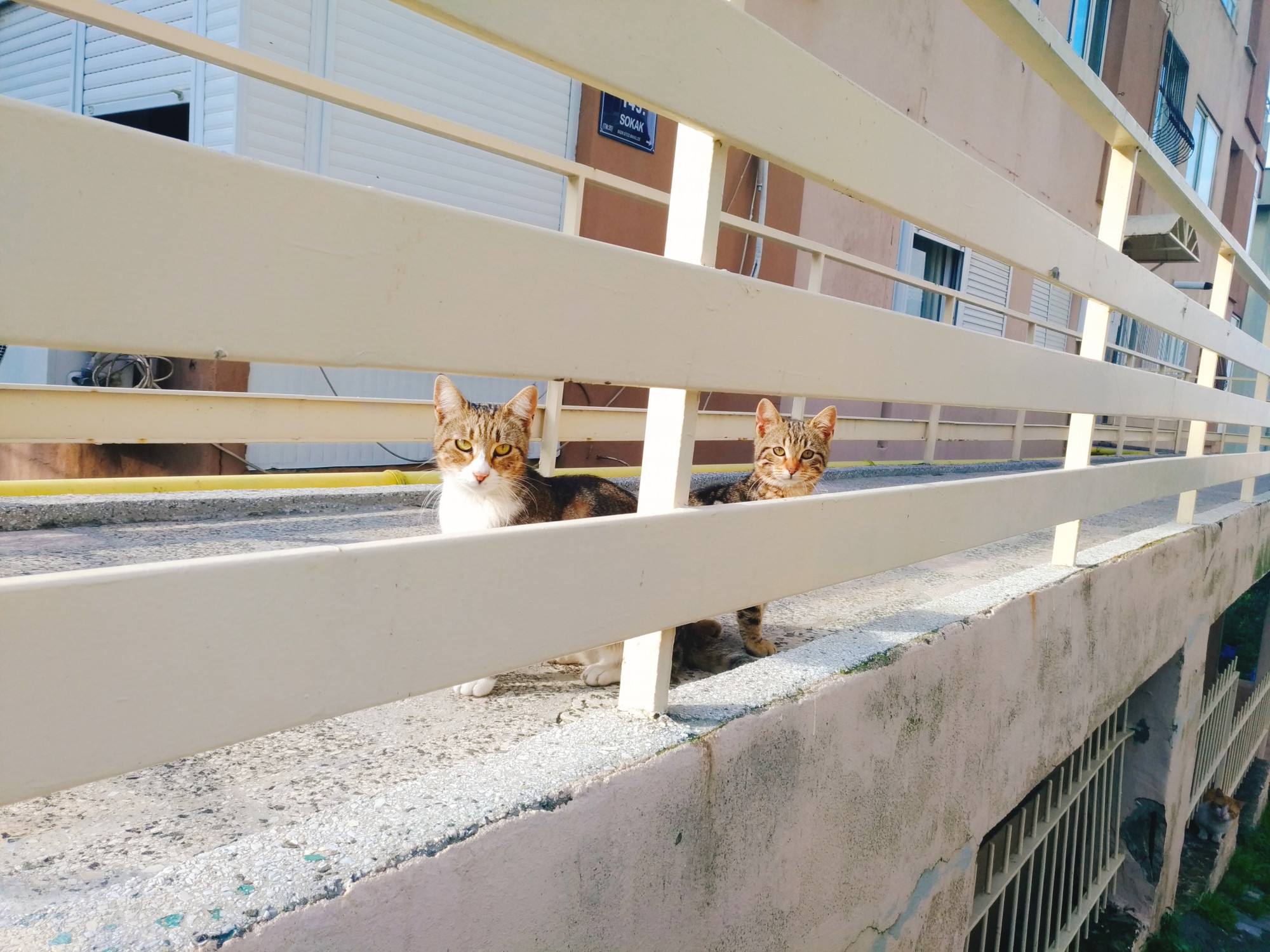 fotoğraf